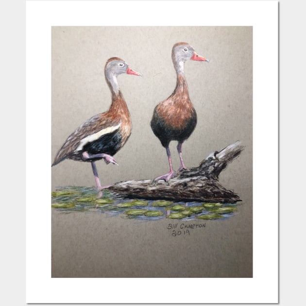 Lack Bellied Whistling Duck Wall Art by Bill Cameron Fine Art